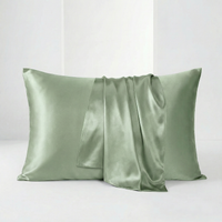 Наволочка із шовку 22MM